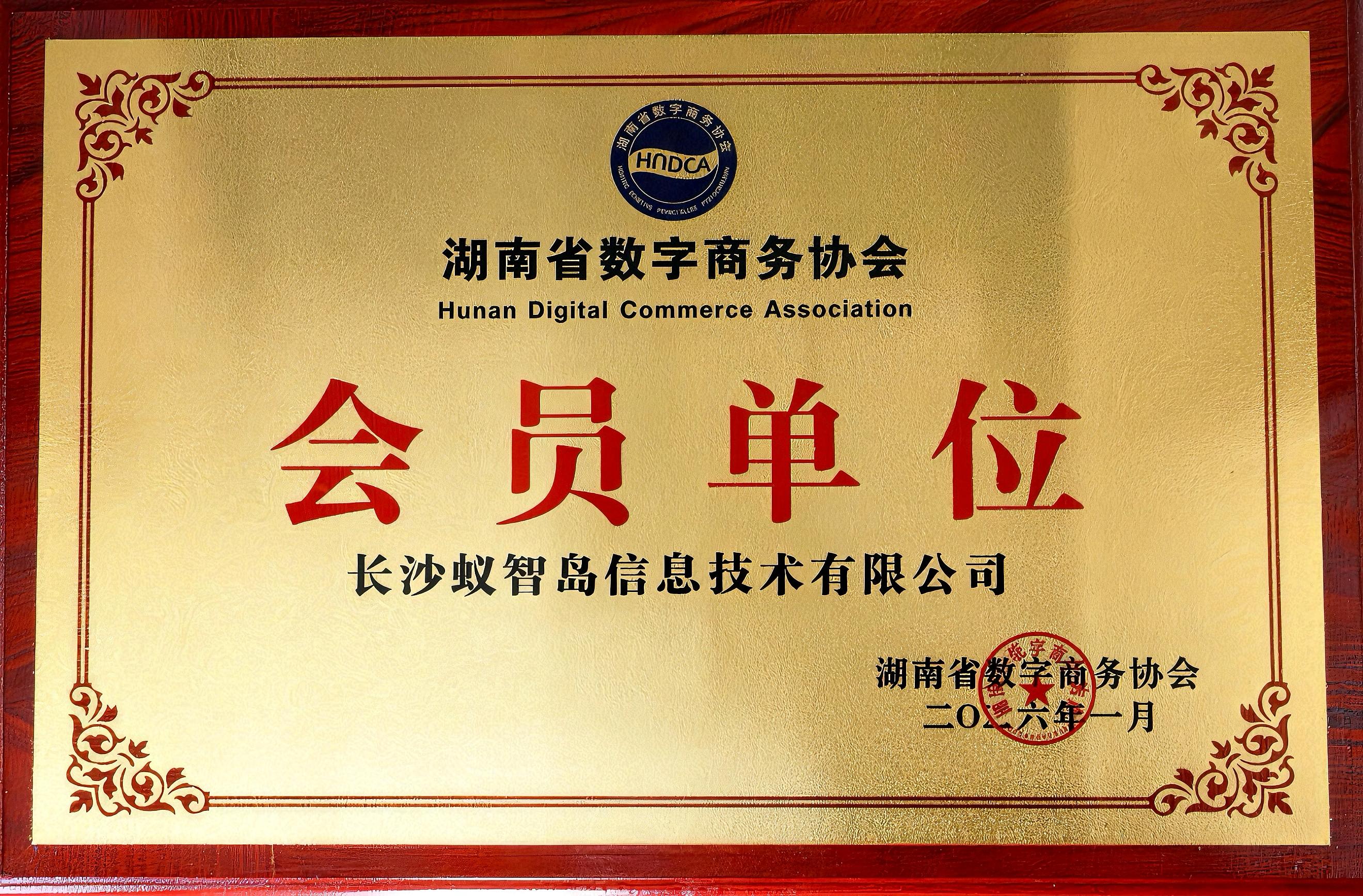 蚁智岛科技参与湖南省数字商务协会活动